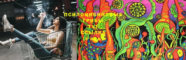 МДПВ Нефтегорск