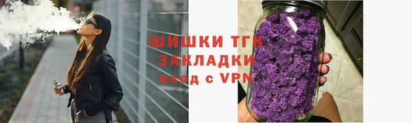 гидра Новозыбков
