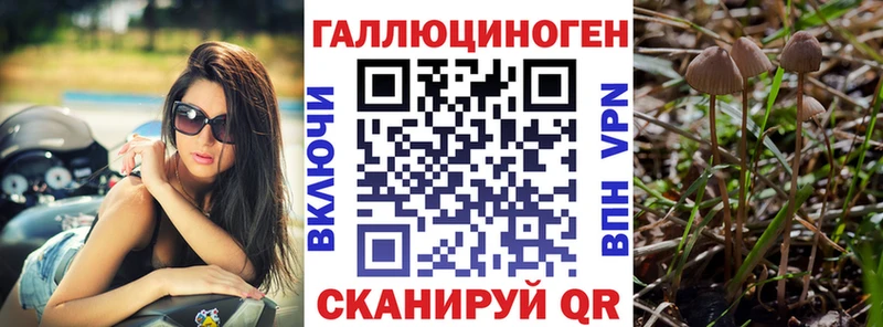 Псилоцибиновые грибы Psilocybe  kraken зеркало  Томмот  продажа наркотиков 
